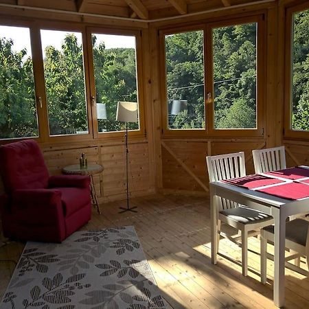 Idyllische Ferienwohnung In Zentrumsnaehe Дрезден Екстериор снимка