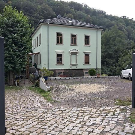 Idyllische Ferienwohnung In Zentrumsnaehe Дрезден Екстериор снимка