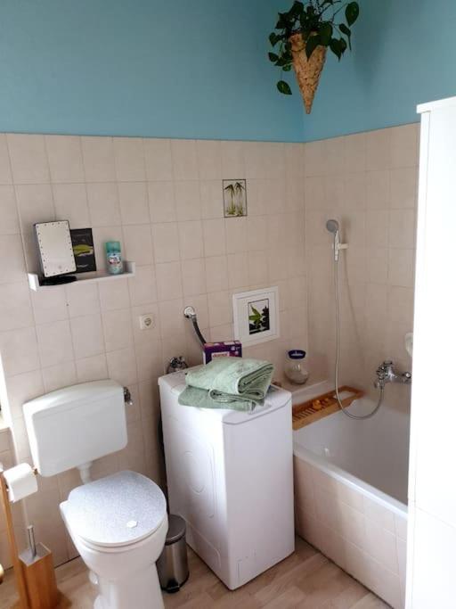 Idyllische Ferienwohnung In Zentrumsnaehe Дрезден Екстериор снимка
